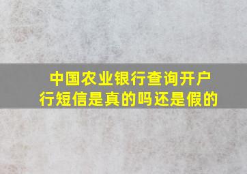 中国农业银行查询开户行短信是真的吗还是假的