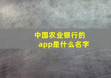 中国农业银行的app是什么名字