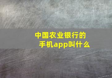 中国农业银行的手机app叫什么