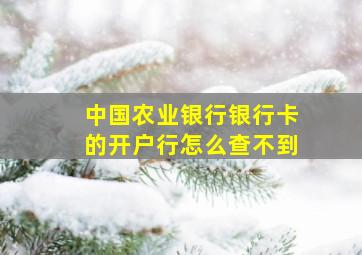 中国农业银行银行卡的开户行怎么查不到