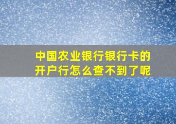 中国农业银行银行卡的开户行怎么查不到了呢