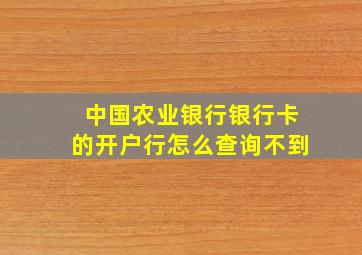 中国农业银行银行卡的开户行怎么查询不到