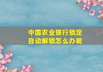 中国农业银行锁定自动解锁怎么办呢