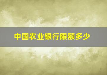 中国农业银行限额多少