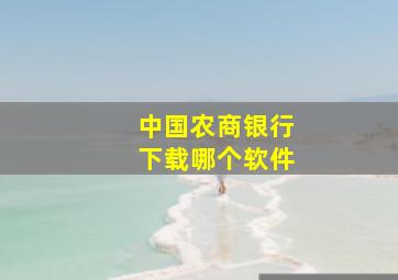 中国农商银行下载哪个软件