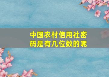 中国农村信用社密码是有几位数的呢