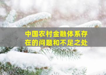 中国农村金融体系存在的问题和不足之处