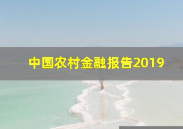 中国农村金融报告2019