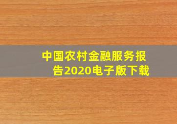 中国农村金融服务报告2020电子版下载