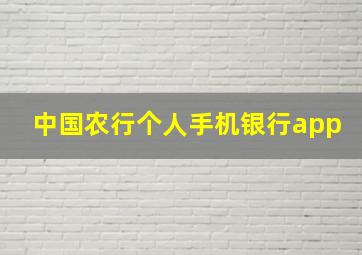 中国农行个人手机银行app