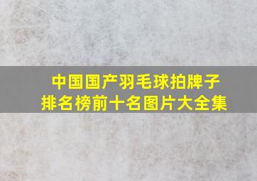 中国国产羽毛球拍牌子排名榜前十名图片大全集