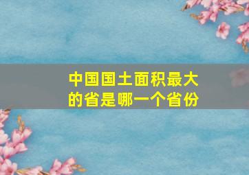 中国国土面积最大的省是哪一个省份