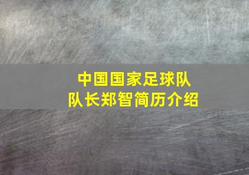 中国国家足球队队长郑智简历介绍