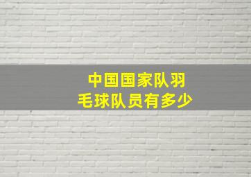 中国国家队羽毛球队员有多少