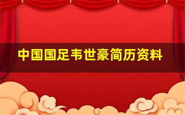 中国国足韦世豪简历资料