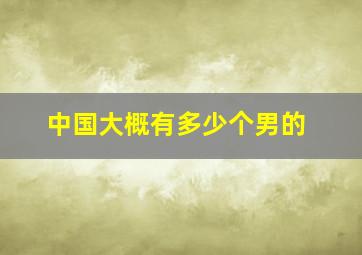 中国大概有多少个男的