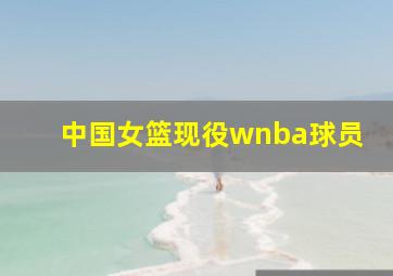 中国女篮现役wnba球员