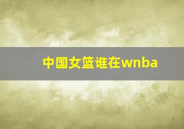 中国女篮谁在wnba