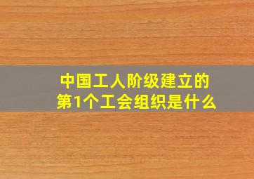 中国工人阶级建立的第1个工会组织是什么