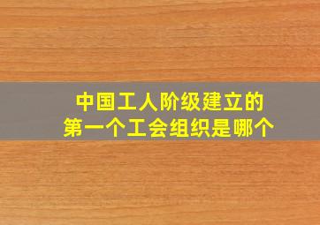 中国工人阶级建立的第一个工会组织是哪个