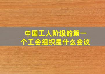 中国工人阶级的第一个工会组织是什么会议