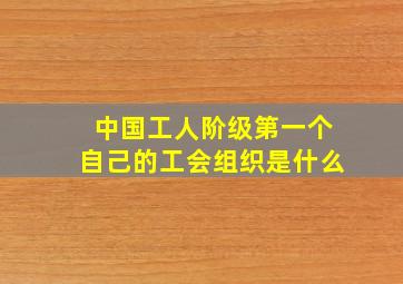 中国工人阶级第一个自己的工会组织是什么