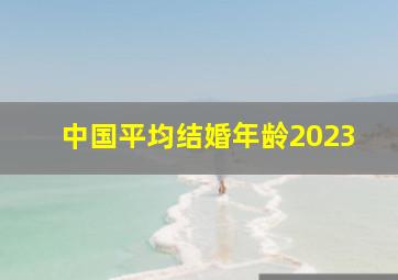 中国平均结婚年龄2023