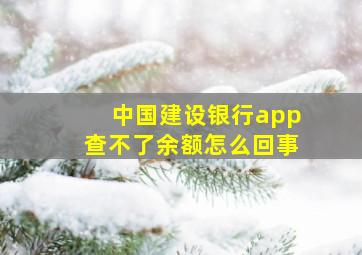 中国建设银行app查不了余额怎么回事