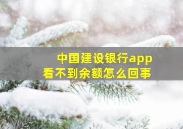 中国建设银行app看不到余额怎么回事