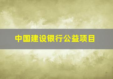 中国建设银行公益项目