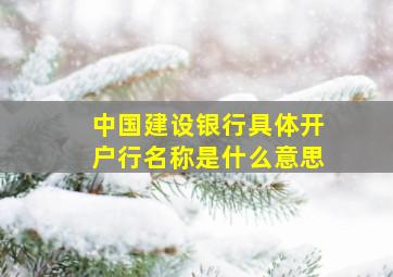 中国建设银行具体开户行名称是什么意思