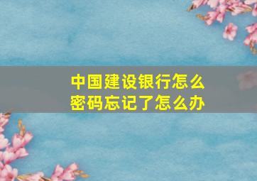 中国建设银行怎么密码忘记了怎么办