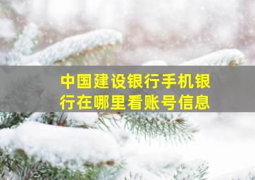 中国建设银行手机银行在哪里看账号信息