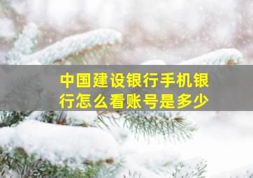 中国建设银行手机银行怎么看账号是多少