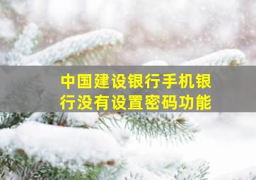 中国建设银行手机银行没有设置密码功能