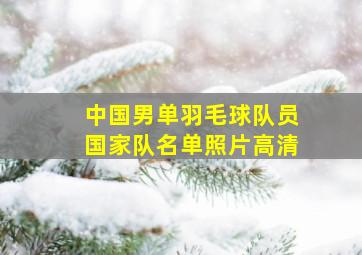 中国男单羽毛球队员国家队名单照片高清