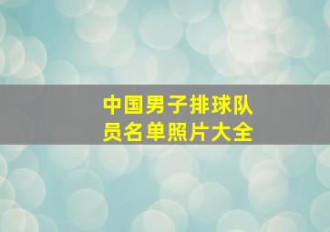 中国男子排球队员名单照片大全