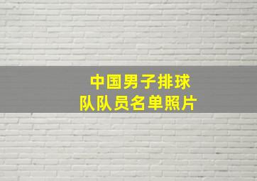 中国男子排球队队员名单照片