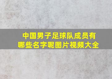 中国男子足球队成员有哪些名字呢图片视频大全