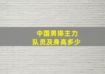 中国男排主力队员及身高多少