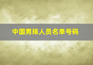 中国男排人员名单号码