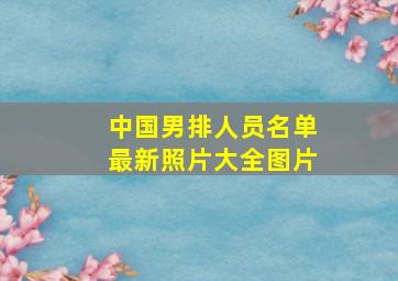 中国男排人员名单最新照片大全图片