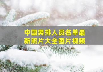 中国男排人员名单最新照片大全图片视频