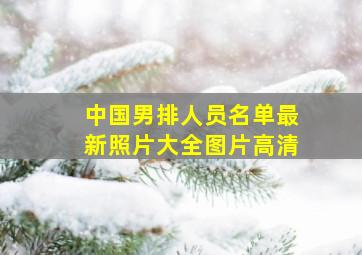 中国男排人员名单最新照片大全图片高清