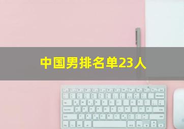 中国男排名单23人