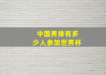 中国男排有多少人参加世界杯