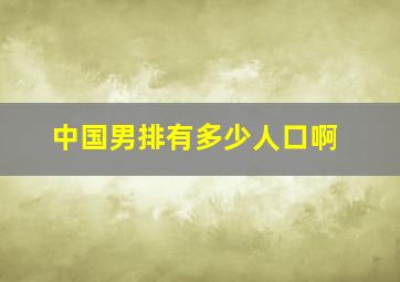 中国男排有多少人口啊