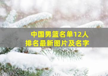 中国男篮名单12人排名最新图片及名字