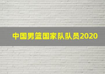 中国男篮国家队队员2020