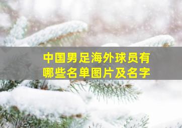 中国男足海外球员有哪些名单图片及名字